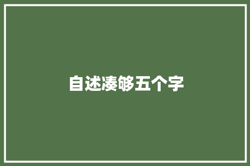 自述凑够五个字