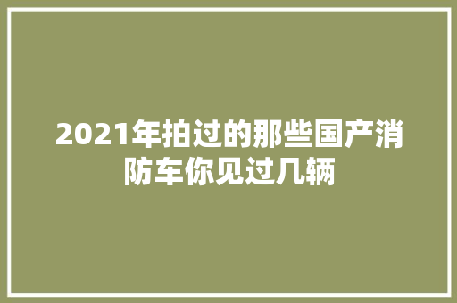 2021年拍过的那些国产消防车你见过几辆