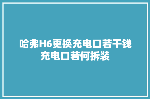 哈弗H6更换充电口若干钱充电口若何拆装