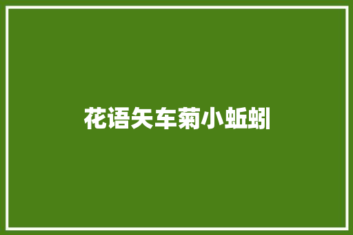 花语矢车菊小蚯蚓