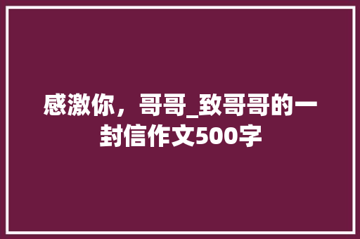 感激你，哥哥_致哥哥的一封信作文500字