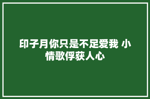印子月你只是不足爱我 小情歌俘获人心