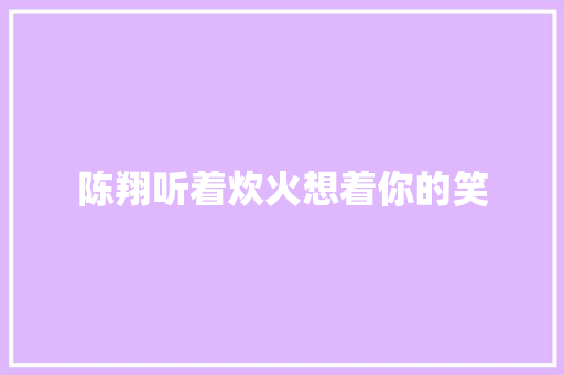 陈翔听着炊火想着你的笑