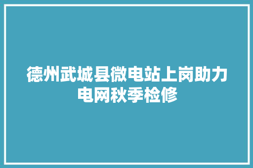 德州武城县微电站上岗助力电网秋季检修
