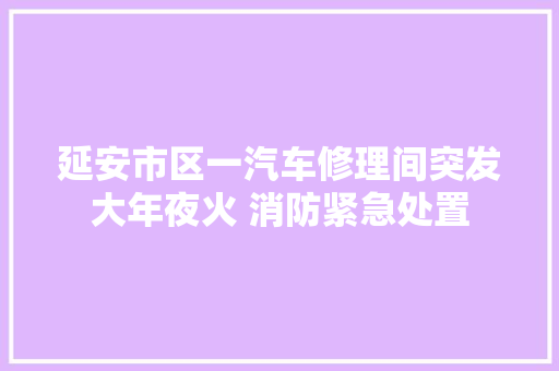 延安市区一汽车修理间突发大年夜火 消防紧急处置 汽车知识