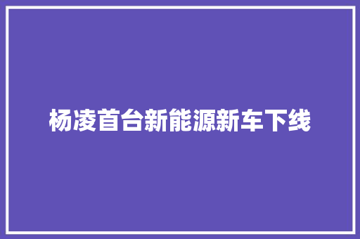 杨凌首台新能源新车下线