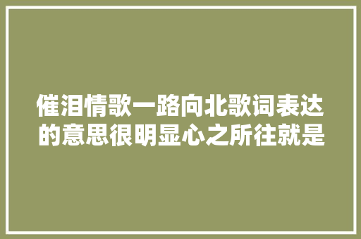 催泪情歌一路向北歌词表达的意思很明显心之所往就是最好