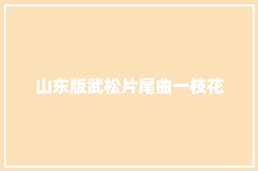山东版武松片尾曲一枝花