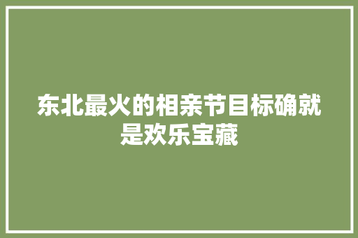 东北最火的相亲节目标确就是欢乐宝藏