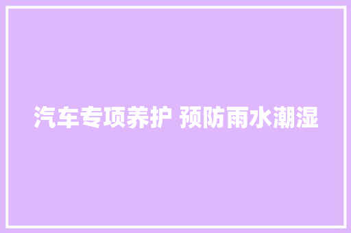 汽车专项养护 预防雨水潮湿