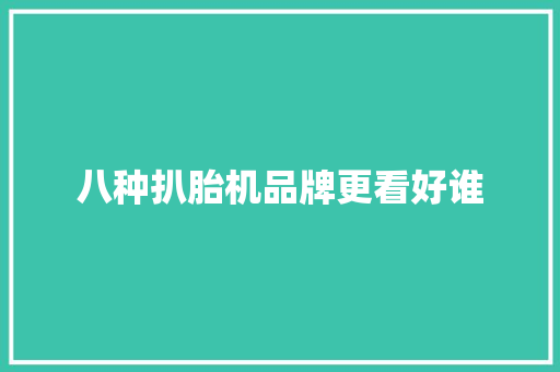 八种扒胎机品牌更看好谁