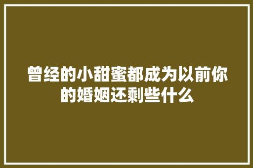 曾经的小甜蜜都成为以前你的婚姻还剩些什么