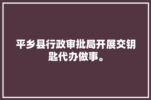 平乡县行政审批局开展交钥匙代办做事。
