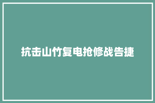 抗击山竹复电抢修战告捷