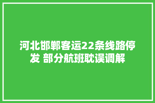 河北邯郸客运22条线路停发 部分航班耽误调解