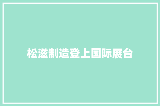 松滋制造登上国际展台