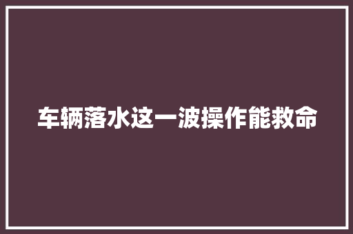 车辆落水这一波操作能救命