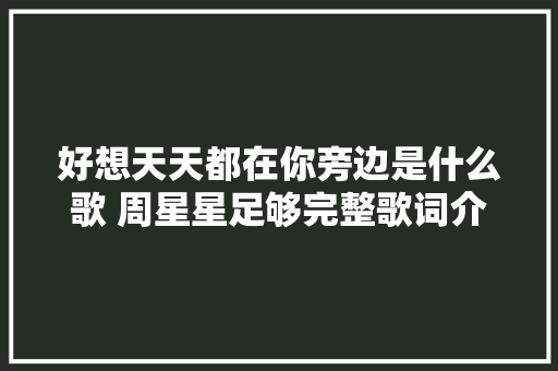 好想天天都在你旁边是什么歌 周星星足够完整歌词介绍