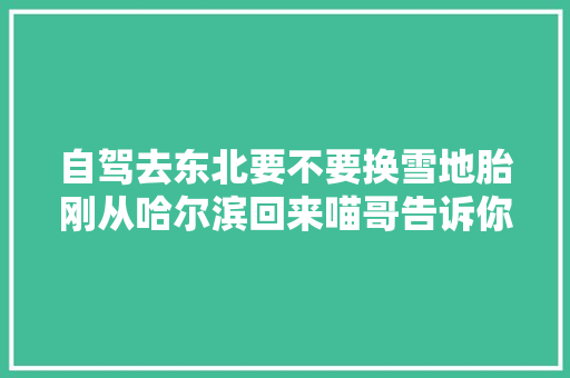 自驾去东北要不要换雪地胎刚从哈尔滨回来喵哥告诉你怎么开