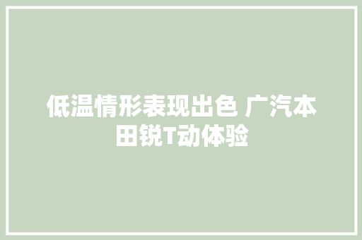 低温情形表现出色 广汽本田锐T动体验