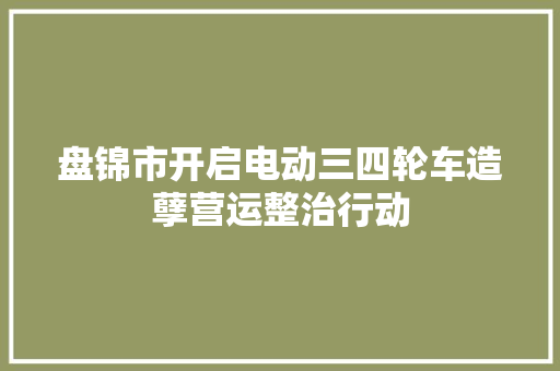 盘锦市开启电动三四轮车造孽营运整治行动