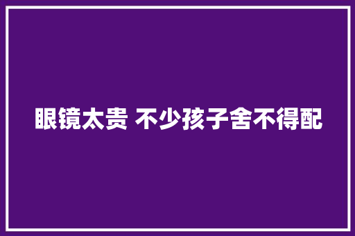 眼镜太贵 不少孩子舍不得配