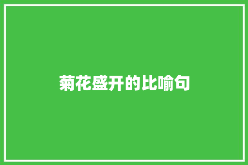菊花盛开的比喻句