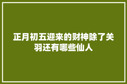 正月初五迎来的财神除了关羽还有哪些仙人