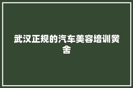 武汉正规的汽车美容培训黉舍