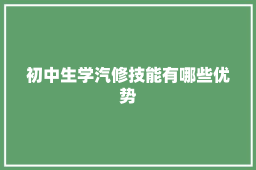 初中生学汽修技能有哪些优势