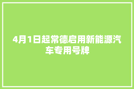 4月1日起常德启用新能源汽车专用号牌