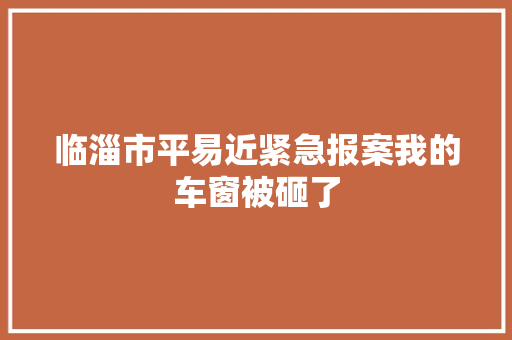 临淄市平易近紧急报案我的车窗被砸了