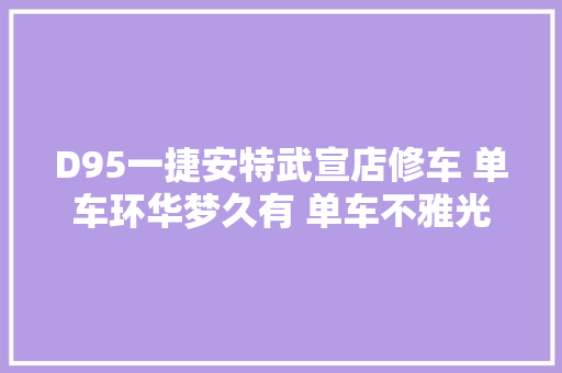 D95一捷安特武宣店修车 单车环华梦久有 单车不雅光