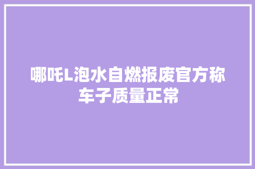 哪吒L泡水自燃报废官方称车子质量正常