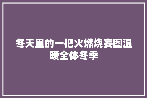 冬天里的一把火燃烧妄图温暖全体冬季
