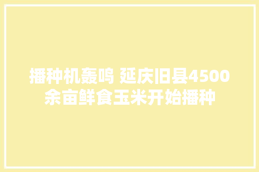 播种机轰鸣 延庆旧县4500余亩鲜食玉米开始播种