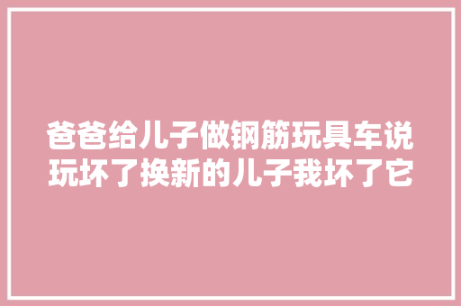 爸爸给儿子做钢筋玩具车说玩坏了换新的儿子我坏了它都不坏