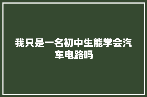 我只是一名初中生能学会汽车电路吗