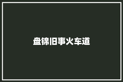 盘锦旧事火车道