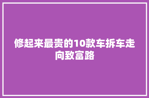修起来最贵的10款车拆车走向致富路 汽车知识