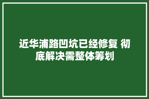 近华浦路凹坑已经修复 彻底解决需整体筹划
