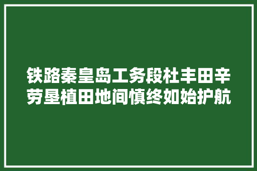 铁路秦皇岛工务段杜丰田辛劳垦植田地间慎终如始护航列车安然