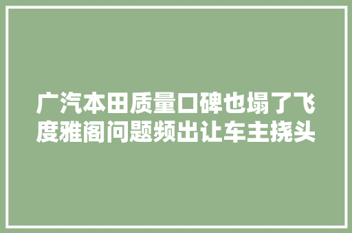 广汽本田质量口碑也塌了飞度雅阁问题频出让车主挠头  315汽车消费申报