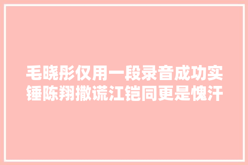 毛晓彤仅用一段录音成功实锤陈翔撒谎江铠同更是愧汗怍人
