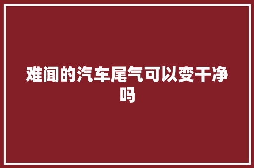 难闻的汽车尾气可以变干净吗