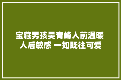 宝藏男孩吴青峰人前温暖 人后敏感 一如既往可爱