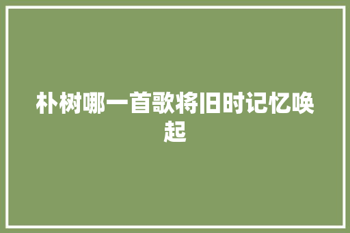 朴树哪一首歌将旧时记忆唤起