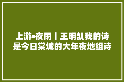 上游•夜雨丨王明凯我的诗是今日棠城的大年夜地组诗