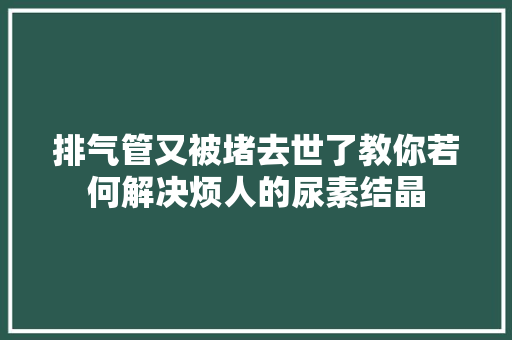 排气管又被堵去世了教你若何解决烦人的尿素结晶