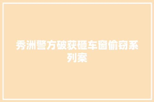 秀洲警方破获砸车窗偷窃系列案